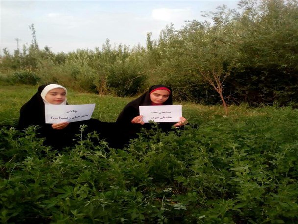 بانوان بختیاری به کمپین حجاب و عفاف پیوستند + تصاویر