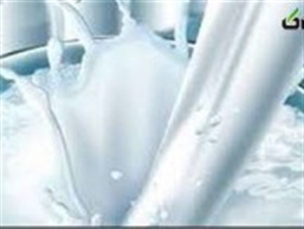 تولید روزانه ۱۳۰ تن شیر در هلدینگ دامپروری رضوی