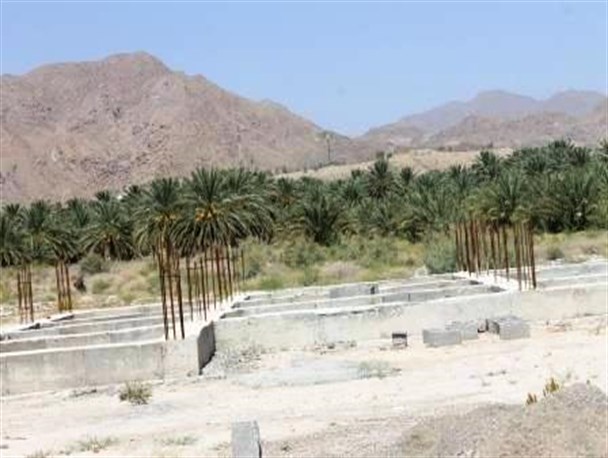 تغییر کاربری های عجیب در زمین های حاجی آباد/ چوب حراج دلالان به مناطق کشاورز نشین