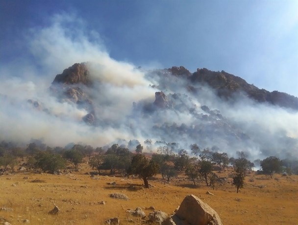عکس/ آتش سوزی در کوه "سیس پنج" گچساران