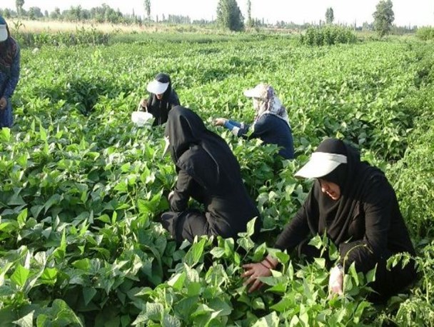 عکس/اردوی جهادی بانوان در روستاهای محروم