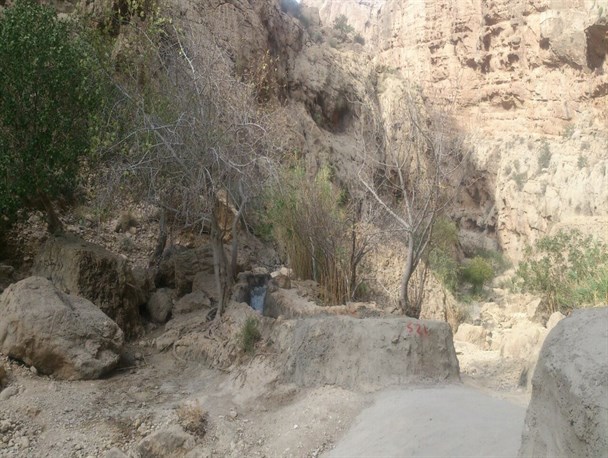 مرگ تدریجی «منطقه نمونه گردشگری خرتنگ» به بهانه آبیاری باغات