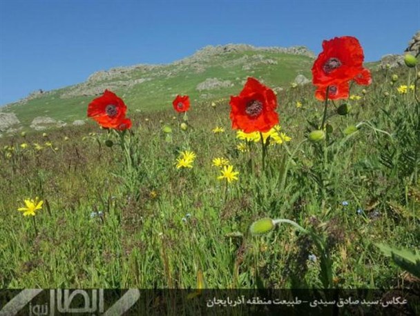طبیعت آذربایجان در یک نگاه