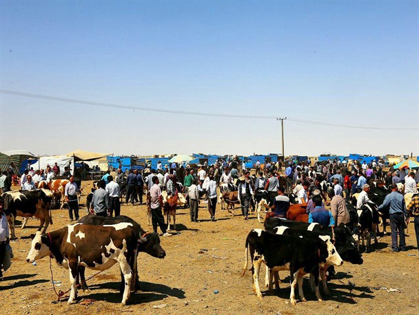 میدان دواب شهرستان بناب به روایت تصویر