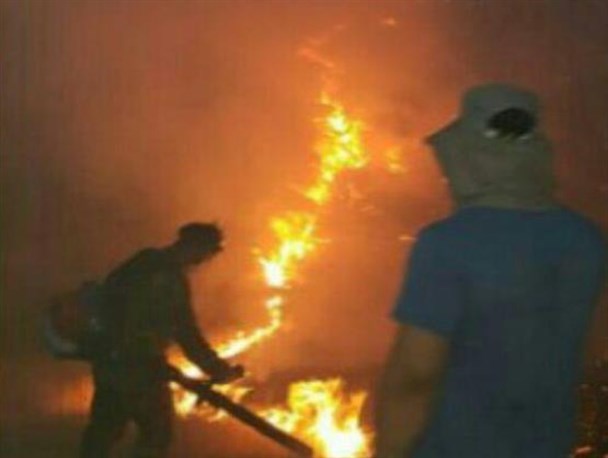 مراتع شهر لاهرود در آتش سوخت