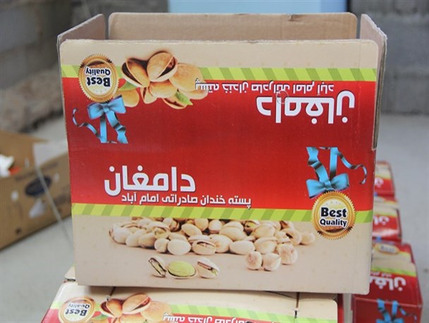 از برداشت سنتی پسته تا بازار به روایت تصویر