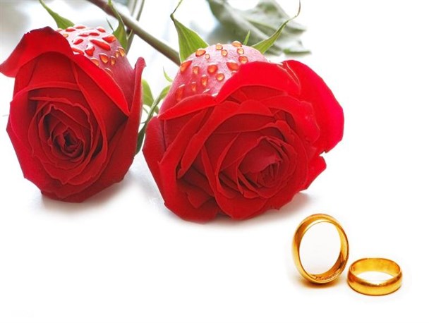 بقای نسل، آرامش،محبت و مودت از برکات ازدواج است