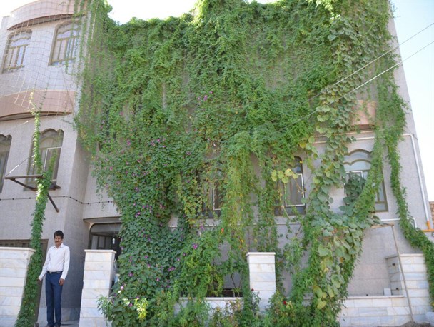 ایجاد یک خانه سبز با کمترین میزان مصرف آب +تصاویر