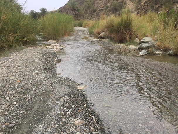 تصاویری زیبا از رودخانه و طبیعت بکر روستای کندر منوجان