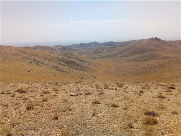 وجود ۲۵۰ گونه از پرندگان در منطقه حفاظت شده باشگل