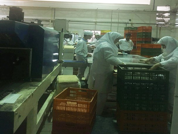 اجرای شیف ایثار از سوی کارگران بسیجی لبنیات آلیش گنبد