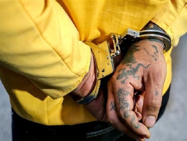 کلاغ مهرشهر؛ ثمره سنگینی سایه ۴ زندان بر سر البرز/ خانواده؛ مهمترین عامل گرایش جوانان به اوباشگری است