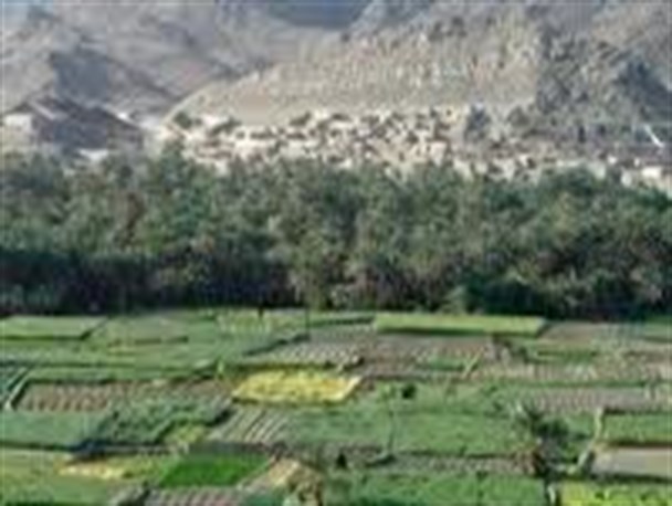 شهرستانی‌ با‌قدمت‌10 هزار‌ساله