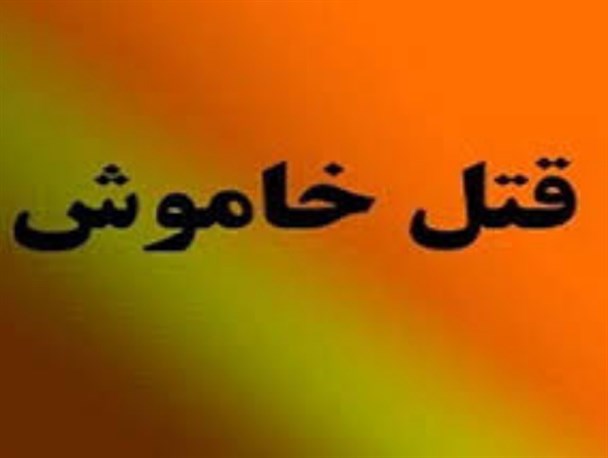 قاتل نامرئی جان یک پیرانشهری را گرفت