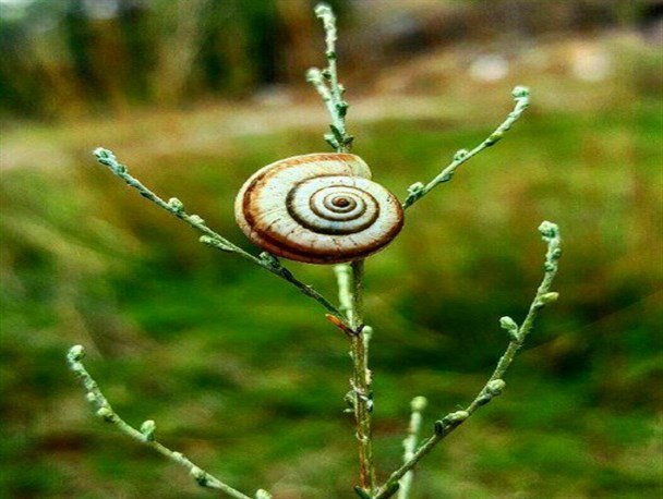 زیبایی های طبیعت در خطیرکوه مهدیشهر