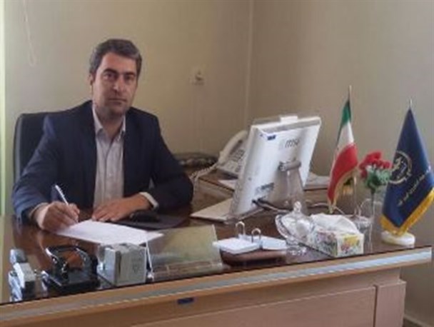 سرشاخه کاری راهکاری موثر در جهت افزایش عملکرد تولید گردو در مناطق سردسیر
