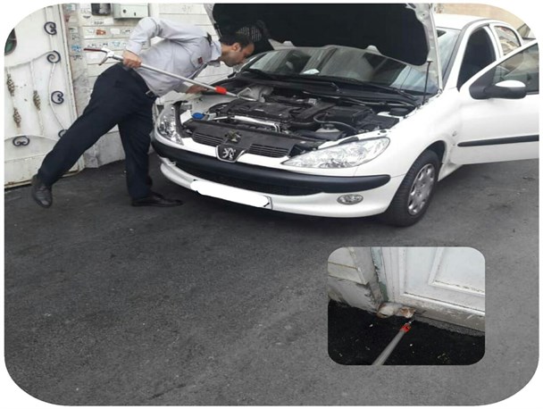 گربه بازیگوش از داخل موتور خودرو نجات یافت