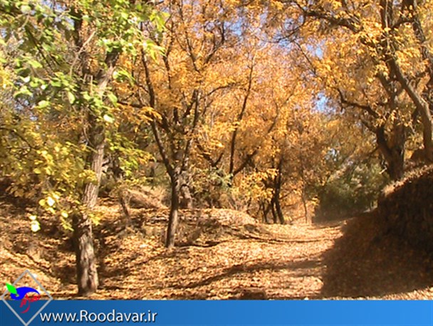 طبیعت زیبای پاییز در تویسرکان