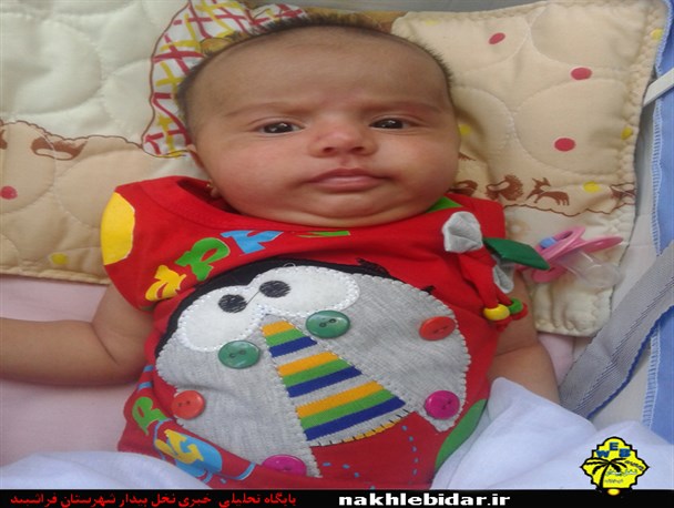 فاطمیا کوچکترین حامی طرح اکرام کمیته امداد فراشبند