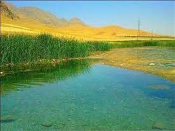 تالاب شیرین سو برای ورود ۵۰۰ پرنده مهاجر آغوش گشود