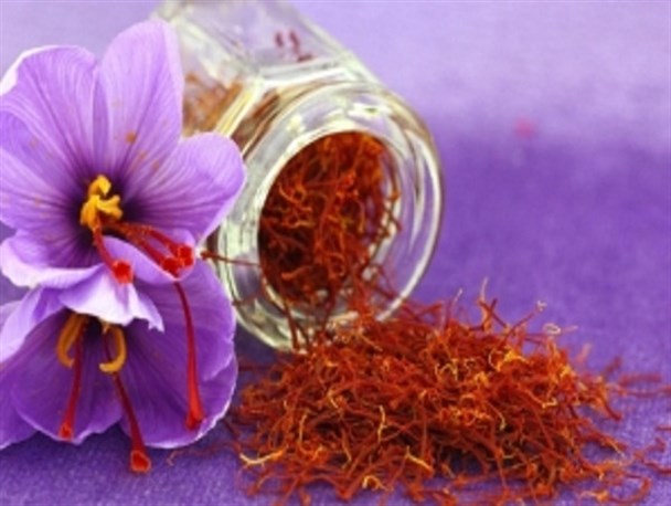 طلای سرخ با حمایت سپاه از زمین هرسین رویید/ کارآفرینی با طعم زعفران ایرانی