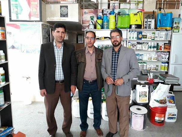 تولید انواع نهال پایه kovainz در شهرستان قروه توسط مهندسین کردستانی+تصاویر