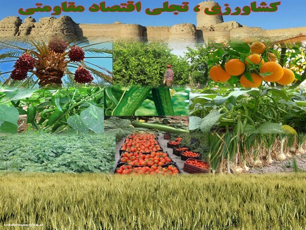 محصولات کشاورزی و باغی منوجان+تصاویر