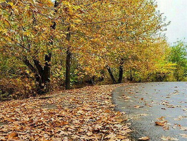 هنر نمایی رنگ ها در پاییز سامان