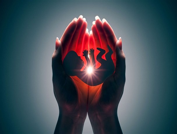 توسعه مراکز نجات فرزندان سقط؛ الگویی برای جوانی جمعیت/ از ارائه بسته معیشتی تا خدمات تخصصی درمانی به مادران باردار در «نفس»