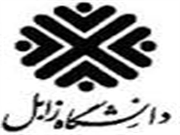 برگزاری سومین مرحله کارگاه آموزشی امنیت رایانه و شبکه های اداری در دانشگاه زابل