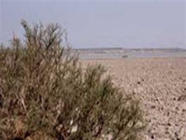 یادداشت/  از دریاچه ارومیه تا تالاب بین المللی هامون سیستان