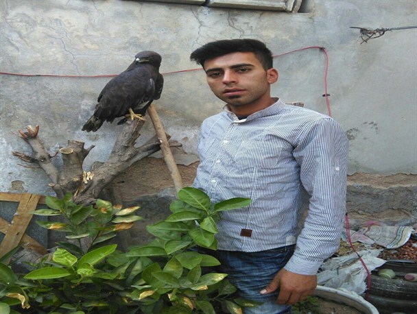 جوان نی‌ریزی یک عقاب را به طبیعت بازگرداند
