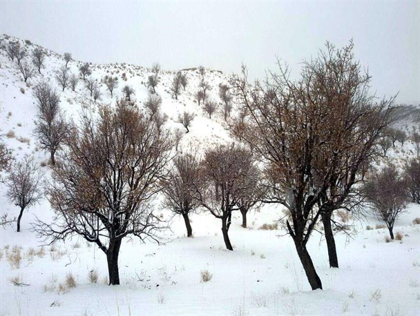کاهش 31 درصدی بارندگی در کاشمر/ بارش سه سانتیمتری برف در کوهسرخ