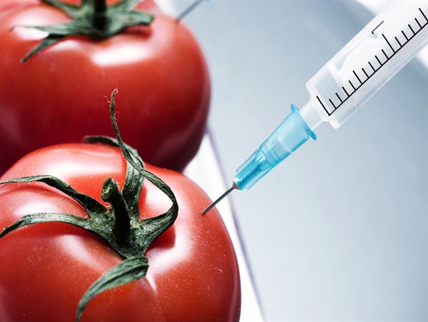 هسته ی مطالبه گری دانشگاه آزاد بجنورد نظر رهبری را پیرامون مسائل تراریخته جویا شد+متن نامه