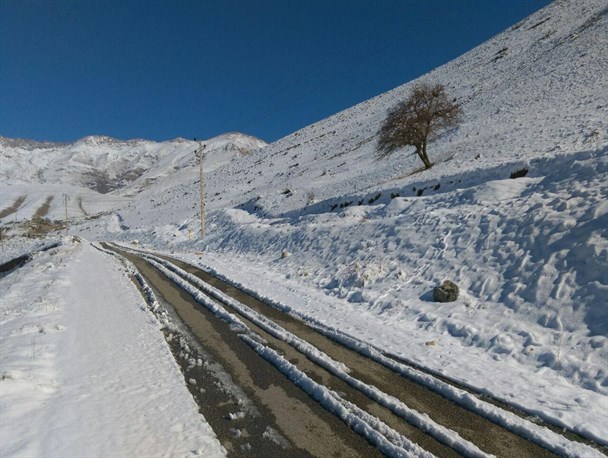 طبیعت پاییزی جاده روستای شال خلخال+تصاویر