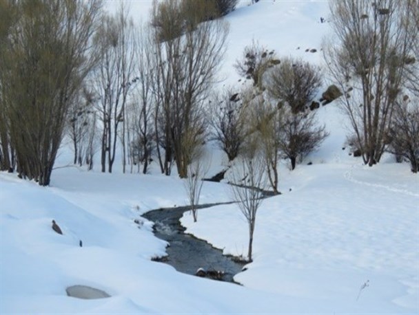 نیر در حسرت برپایی جشنواره های زمستانی