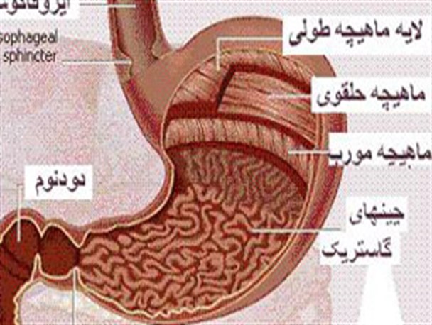 افزایش مبتلایان به بیماری میکروب معده در کشور