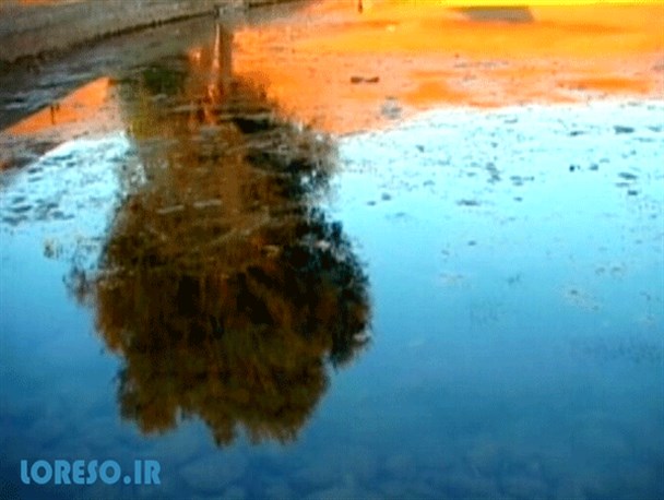 برداشت آزاد