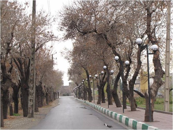 دو مسیر باغ راهی در جنوب پایتخت احداث می شود