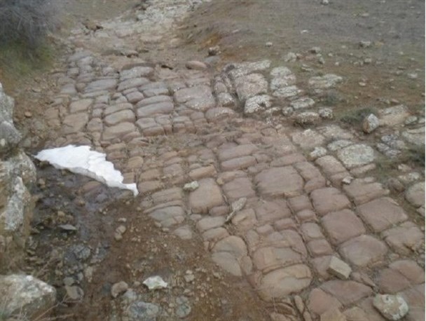 عکس/سنگ فرشی متفاوت از معمار بزرگ طبیعت