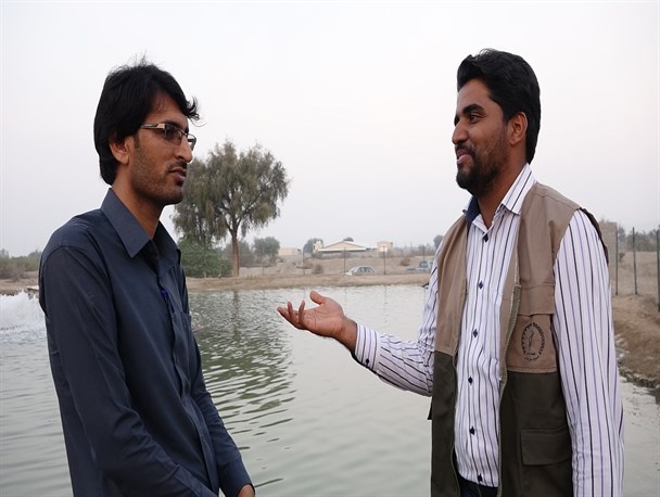 آغاز نخستین طرح پرورش ماهیان گرمابی در استخر در سیریک+تصویر