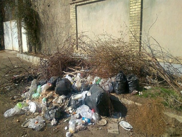 شهرک صنعتی یا شهرک زباله/ حمله موش و گربه ها به شهرک صنعتی بلکو یاسوج + تصاویر