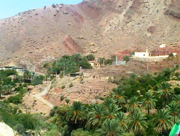 روستای زلزله زده سیرمند حمایتی از سوی دولت دریافت نکرد/ 99 درصد از باغات از بین رفته و مردم مجبور به مهاجرت شدند