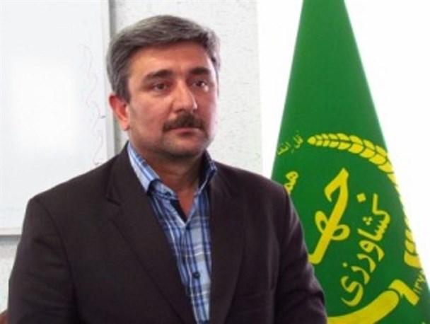 سیب و پرتغال دولتی میهمان بازار پایان سال گرمسار
