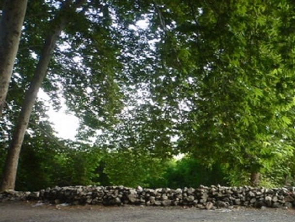 زندگی اطراف ما از دریچه دوربین
