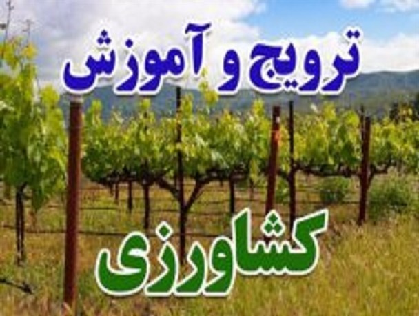 برگزاری دوره های مهارتی در جهاد کشاورزی نطنز/ سه گلخانه تولید گل های آپارتمانی در شهرستان فعال هستند