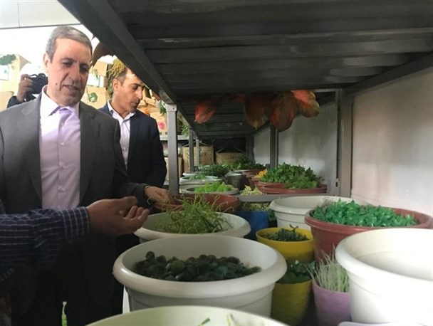 نرخ بیکاری کنونی زیبنده شهرستان تنگستان نیست