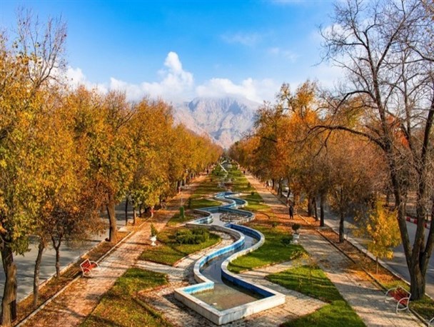 طبیعت طولانی‌ترین بلوار جنگلی ایران در معرض تهدید پروژه‌های شهری/ طرحی که مسئولان جوابش کردند!