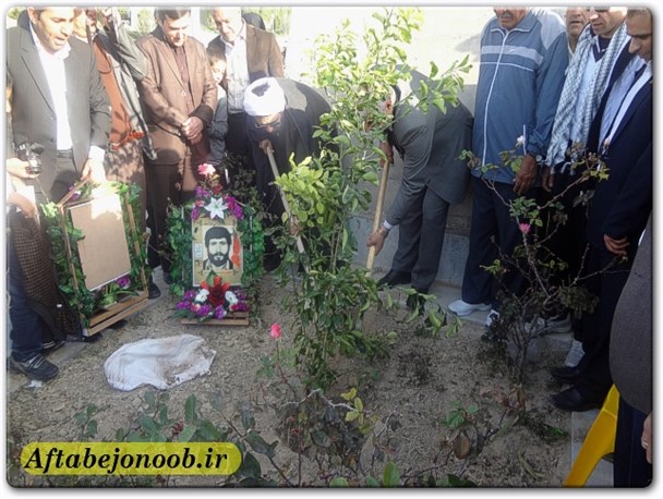 غرس 14 اصله نهال یادمان شهدای دانشجوی گچساران +تصاویر