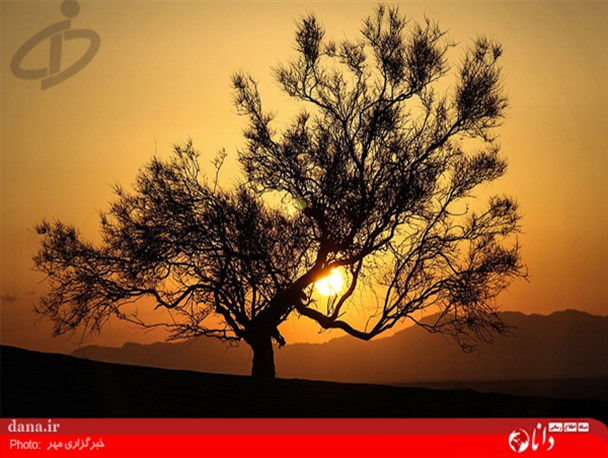 گزارش تصویری/حرکت ریزگردها و ایجاد طوفان های شن